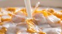 Cornflakes bewegen sich: Magnet-Experiment verblüfft | Leben & Wissen | BILD.de